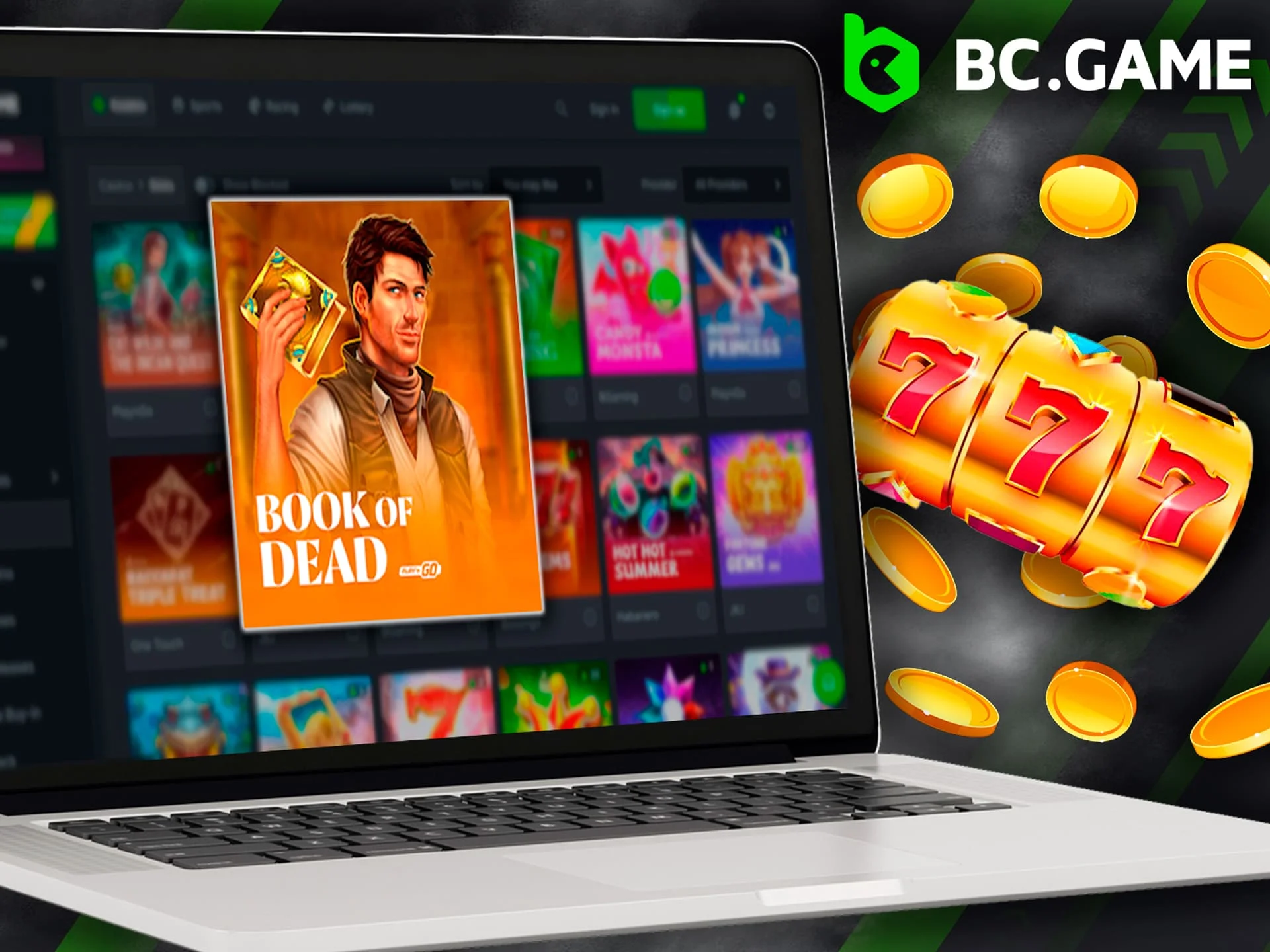 Try to play Book of Dead at BC Game casino.