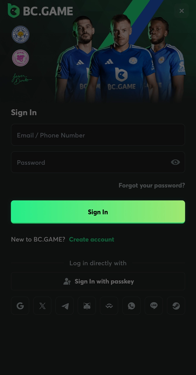 Fill in the fields to log in to your personal BC Game account.