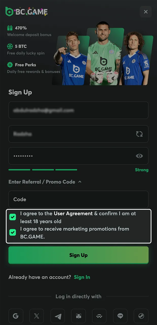 Confirm your agreement to BC Game's terms and conditions and your age.
