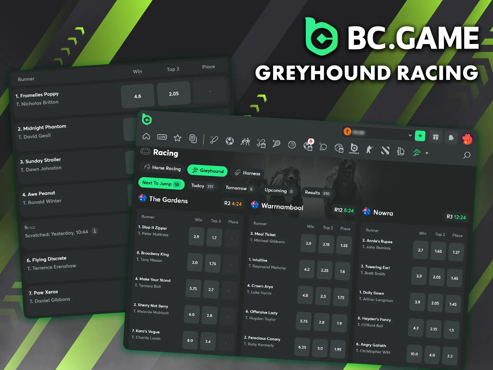 Place bets on greyhound racing on the BC Game website.