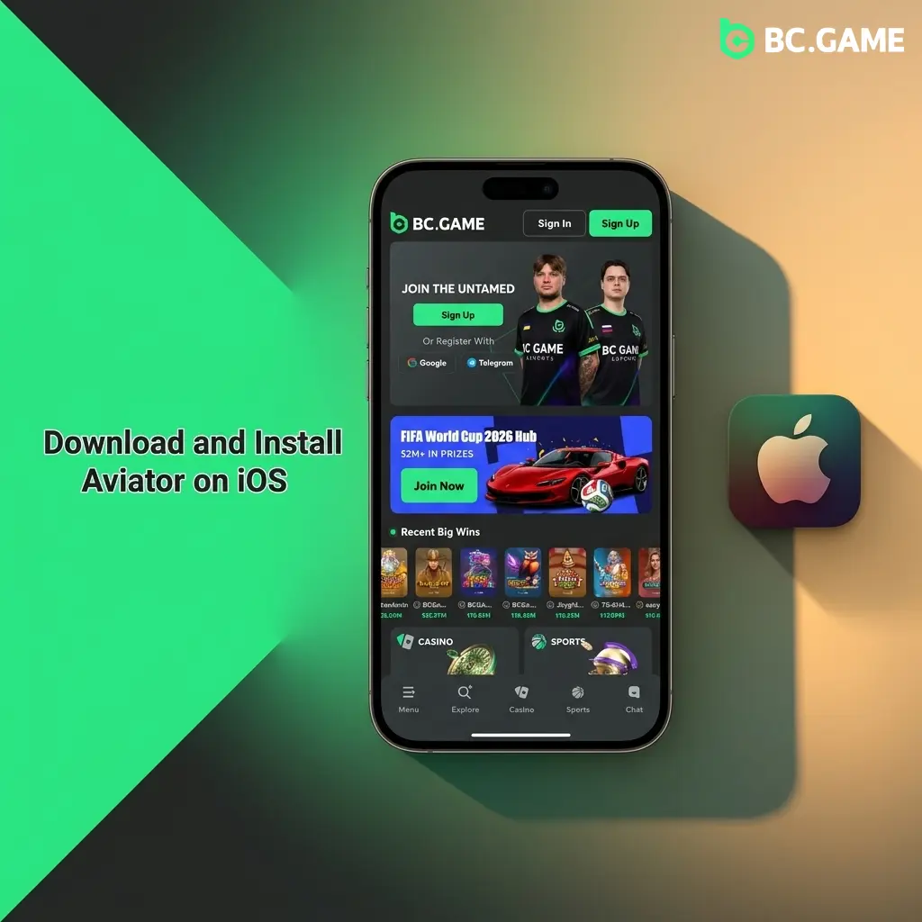 BC Game PWA installation on iPhone Safari showing Add to Home Screen steps for Aviator iOS access