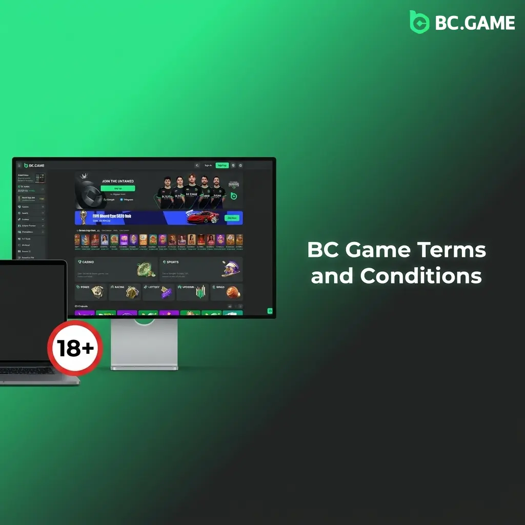 BC Game Terms and Conditions outlining account rules, bonus wagering, age requirements, and conduct policies for players in India